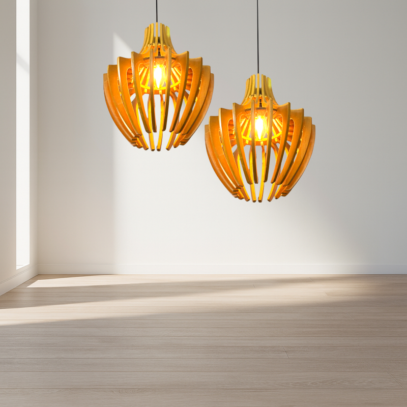 2 Đen treo BAU DUC KHUYET