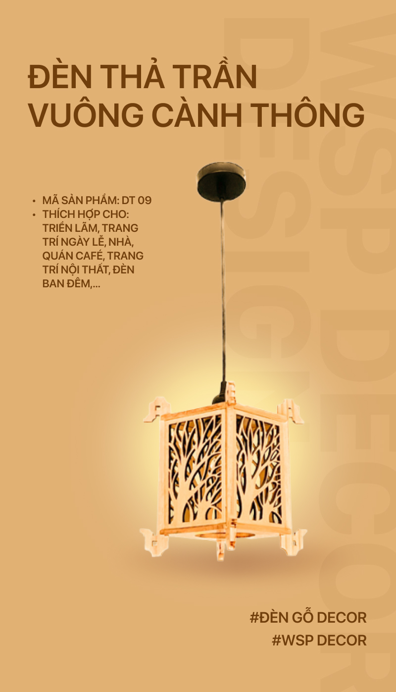 DT 09-01